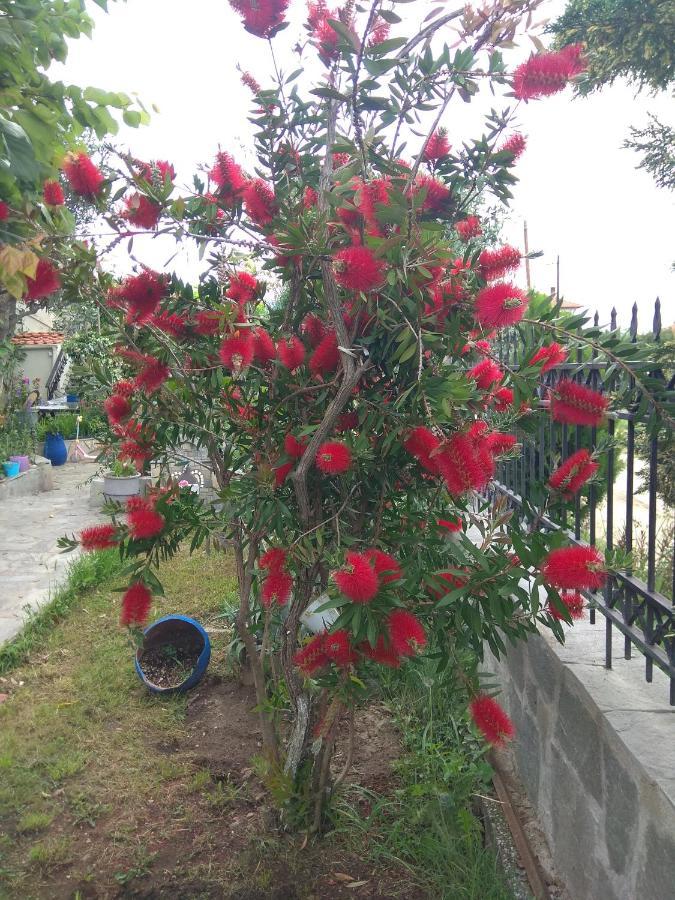 Sofia'S Cottage Asprovalta Dış mekan fotoğraf